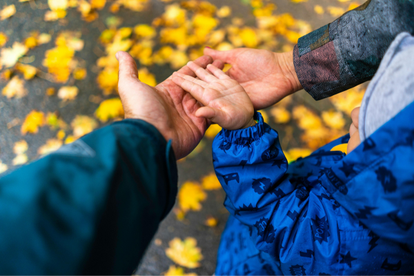 Top 5 Nutrients to Keep Your Body Strong This Fall