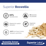 Boswellia Extract