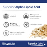 Alpha Lipoic Acid 600mg