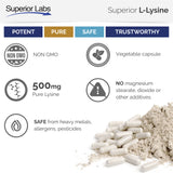 L-Lysine