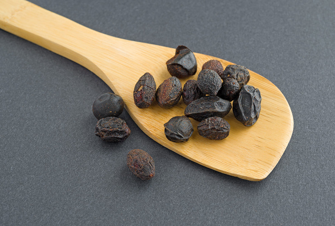Get to Know: Saw Palmetto