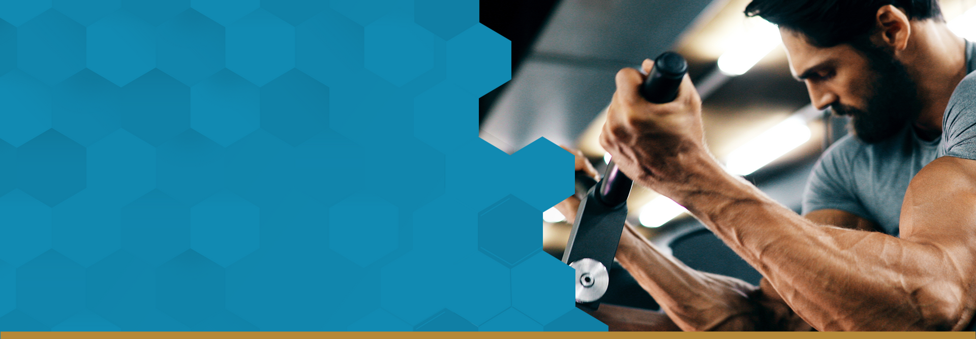 Energy & Physical Performance