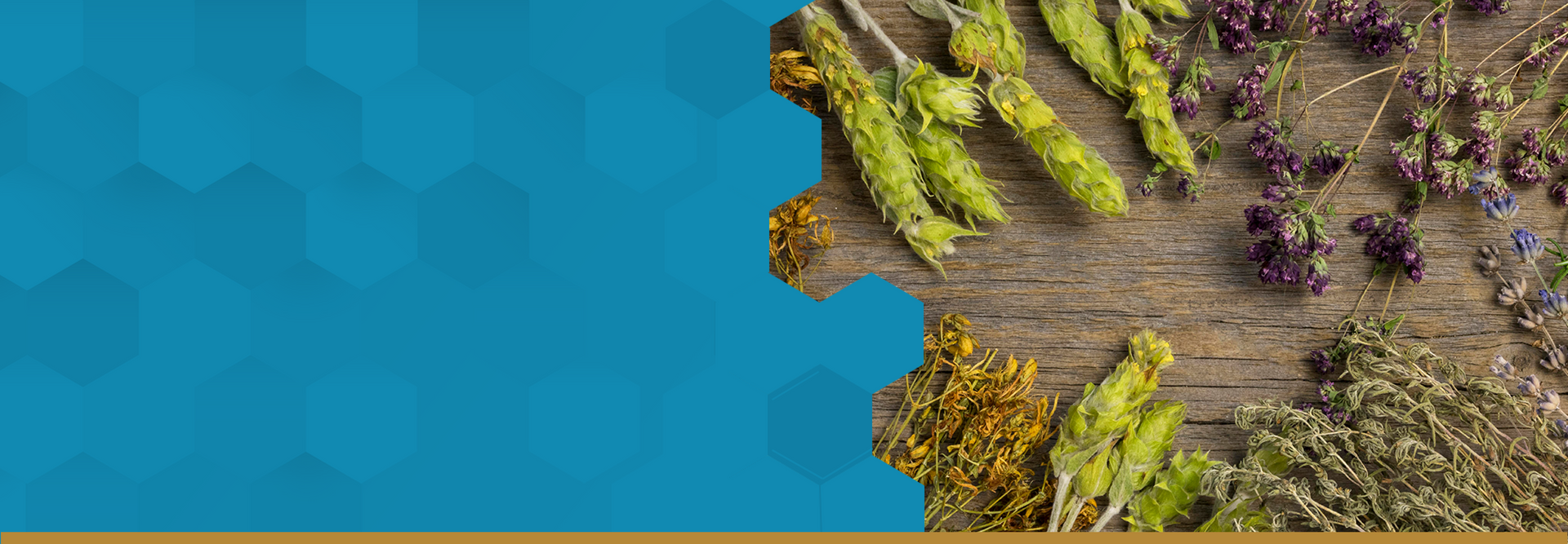 Herbal and Plant Extracts