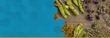 Herbal and Plant Extracts