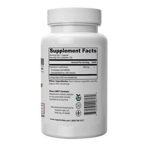 Hawthorn Extract