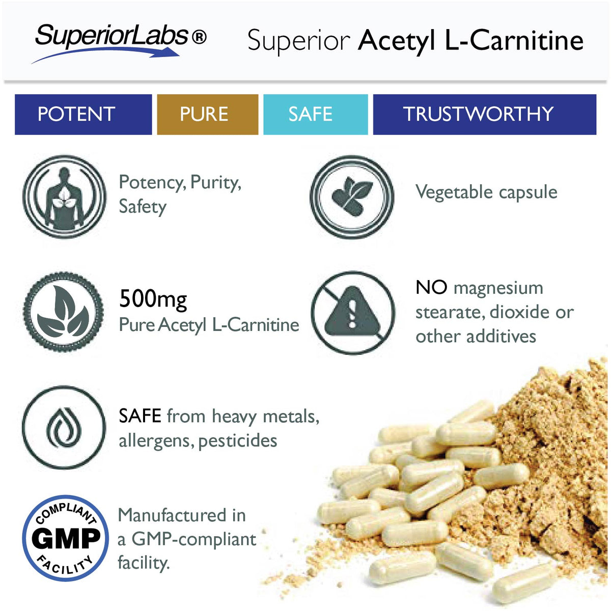 Acetyl L-Carnitine