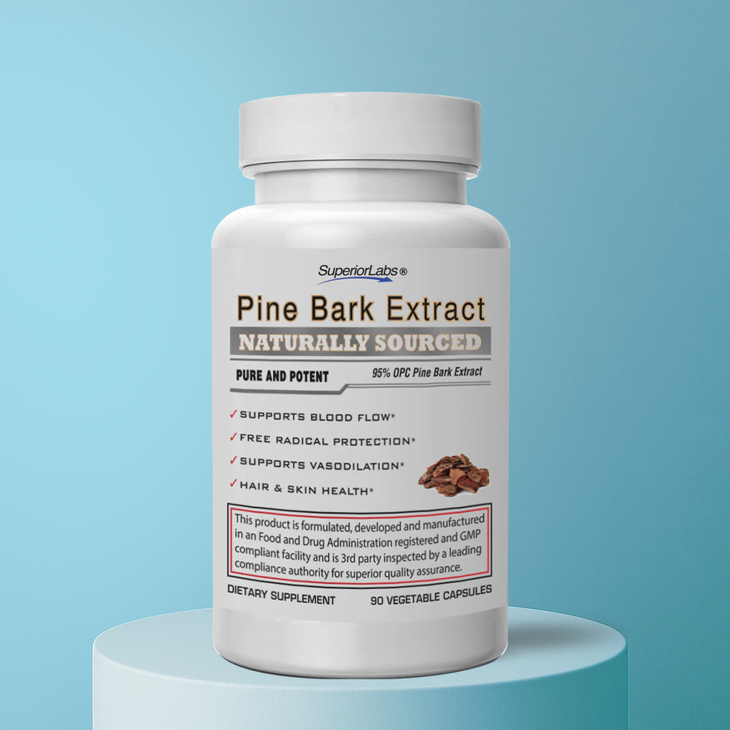 pine bark extract with l carnitine Pine Bark Extract Superior