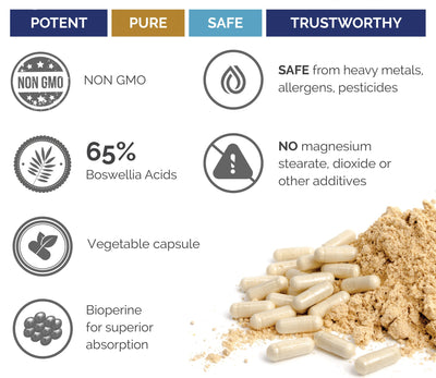 Boswellia Extract Supplement | 500 mg | Superior Labs
